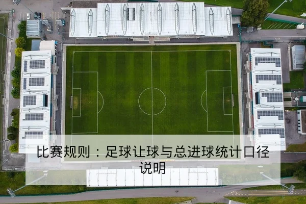 中超积分榜实时排名与净胜球排序查询